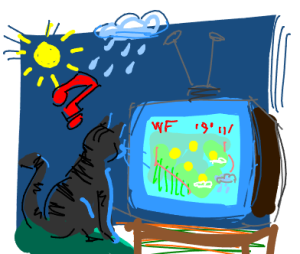 Cat sees weather forecast on TV, wonders if its sun or rain