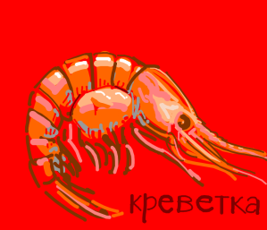 Russian prawn